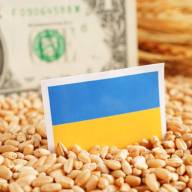 Niemcy wyjaśniają dlaczego ukraiński eksport zbóż do Unii Europejskiej jest szkodliwy 