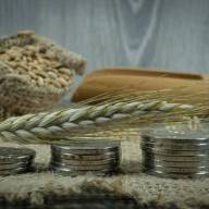 06.05.2024 Ceny zbóż, kukurydzy, oleistych i strączkowych: pojawiły się nieśmiałe podwyżki 