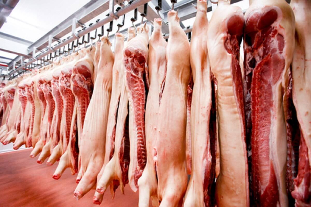 eksport wieprzowiny, Brazylia 