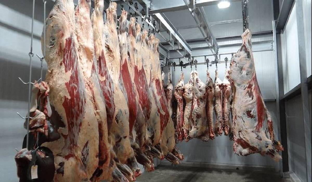 polska wołowina, eksport do Chin 
