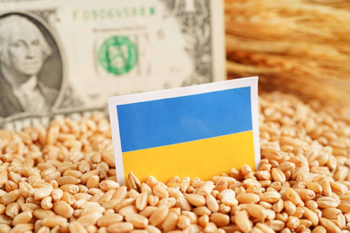 amerykańskie wsparcie, Ukraina, dotacje 