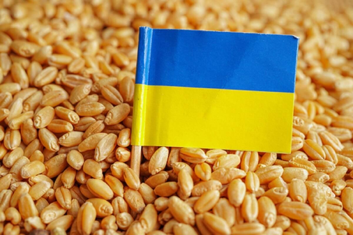 Ukraina, zboże, import, Andrzej Duda 