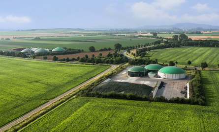nawozy biogazownia portal ceny rolnicze pl 