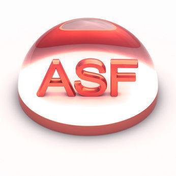 ASF, ogniska ASF, Afrykański Pomór Świń