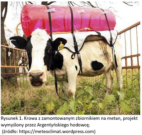 krowa zbiornik na metan ceny rolnicze pl
