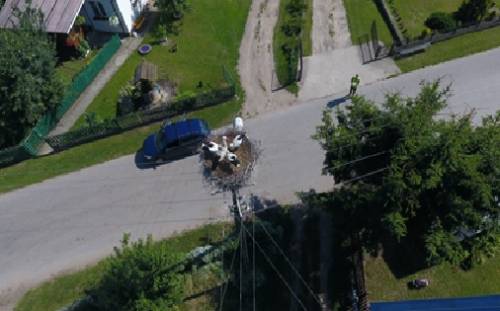 bcianie gnizado widok z drona cenyrolnicze pl agroekosystem