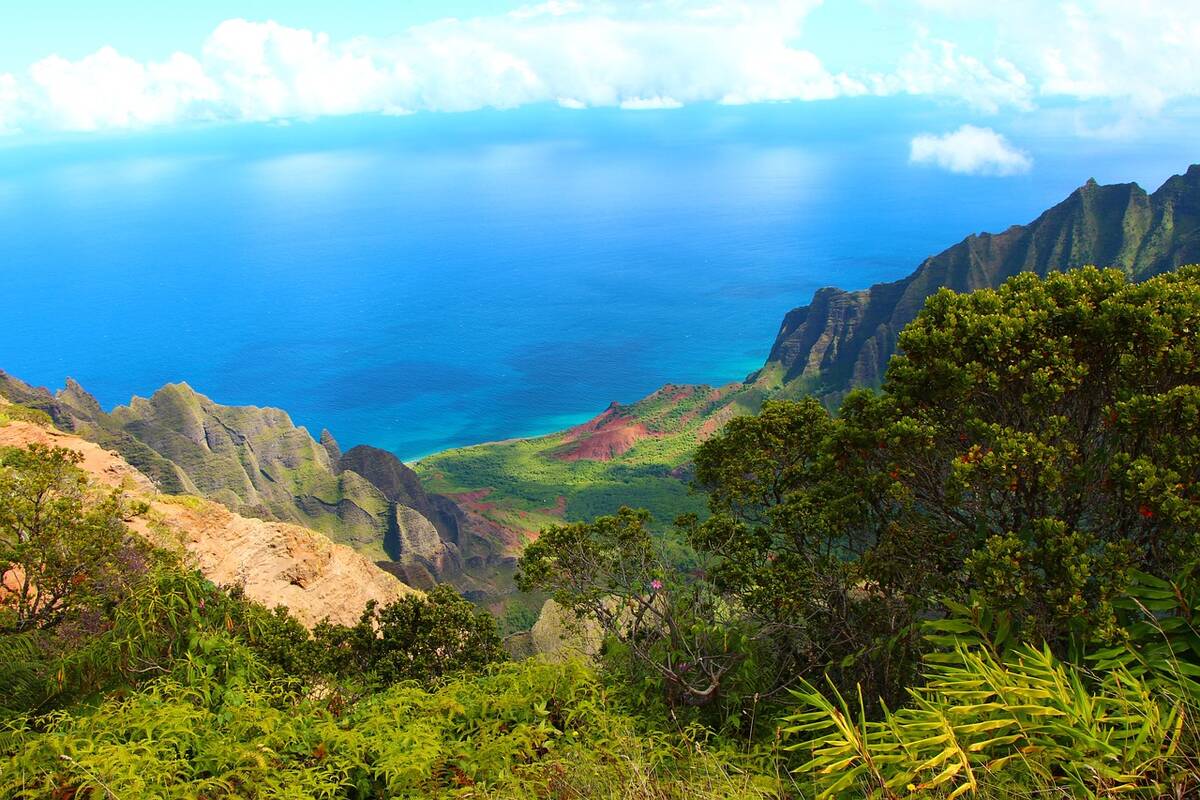 hawaje kauai pixabay portal cenyrolnicze pl