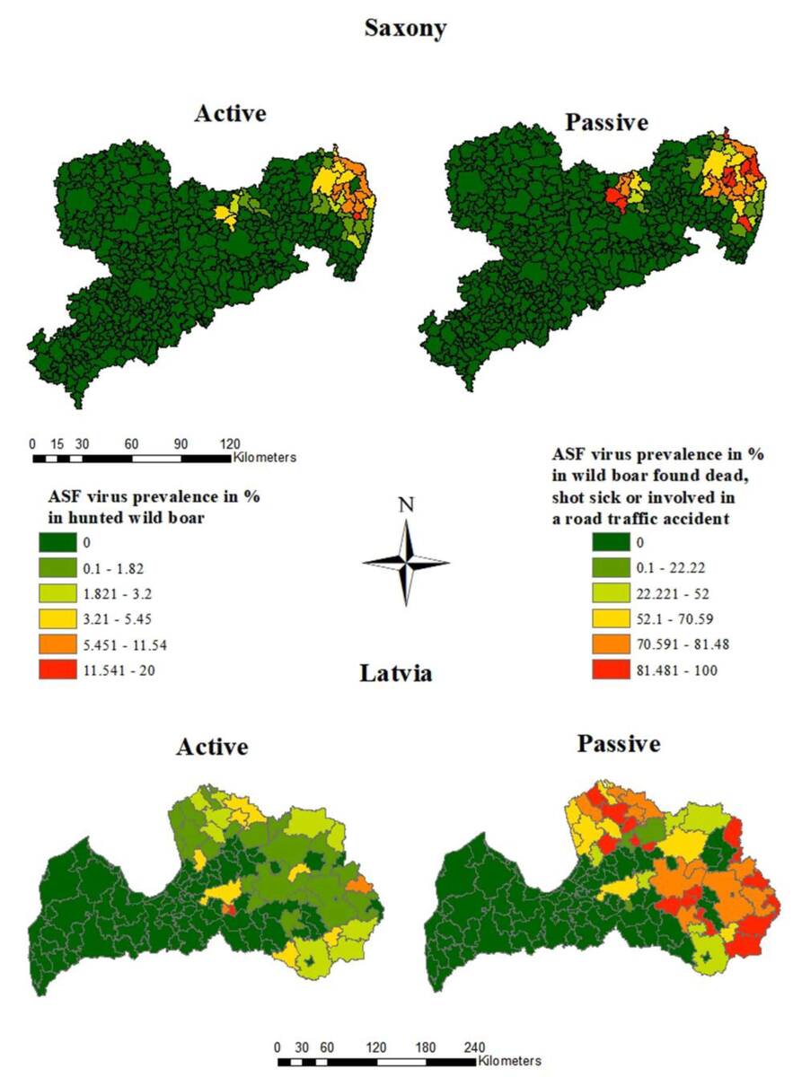 mapa prewalencja asf dziki niemcy lotwa journal pathogens portal cenyrolnicze pl