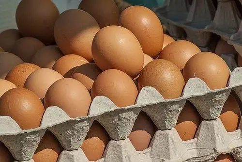 ceny jaj w polsce ue portal ceny rolnicze pl wiesci rolnicze