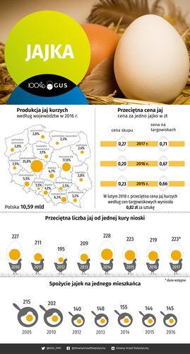 produkcja jaj kurzych gus portal ceny rolnicze pl