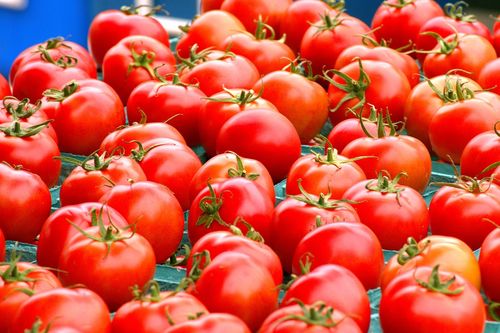 swieze czerwone pomidory