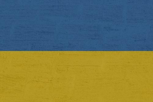 zbiory rzepaku na Ukrainie