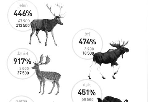 prawo i finanse ceny rolnicze wzrost liczebnoci dzikiej zwierzyny w latach 1976-2015 web due 