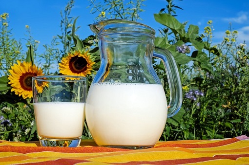 mleko rosna ceny mleka w niemczech europie polsce portal cenyrolnicze pl 