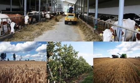 wnioski o ubezpieczenia rolnicze dla duzych przedsiebiorstw