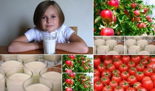 pozostale wiesci rolnicze owoce i warzywa oraz mleko dla dzieci w szklolach 