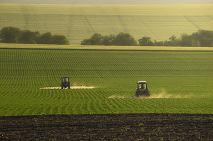zboza powschodwe zwalczanie chwastow w kukurydzy portal ceny rolnicze pl 