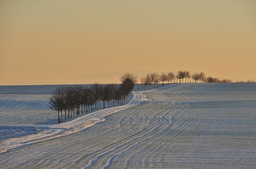 ubezpieczenia rolnicze i krus opady sniegu szkody w rolnictwie 