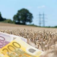 Jeszcze w tym roku płatności dla małych gospodarstw. Do każdego hektara 225 EUR 