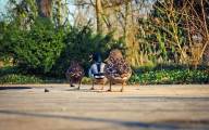 Ptasia grypa na fermach kaczek we Francji