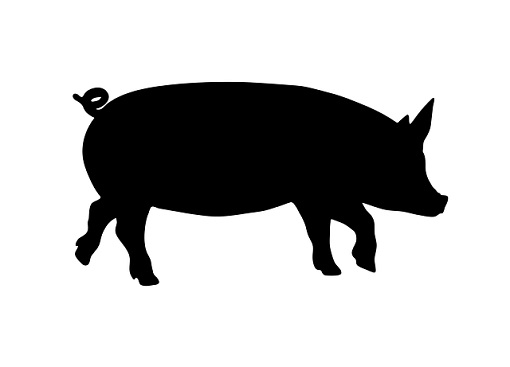 trzoda chlewna ceny swin w kraju portal cenyrolnicze pl 