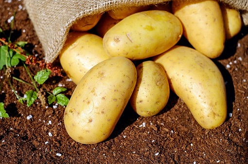 wiadomosci handel polskimi ziemniakami bedzie latwiejszy 