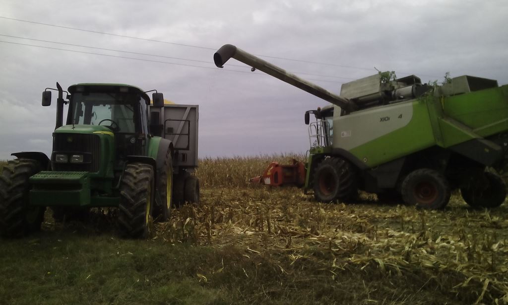 z gospodarstwa zbiory kukurydzy na ziarno zniwa kukurydziane 2016 portal ceny rolnicze pl 10 