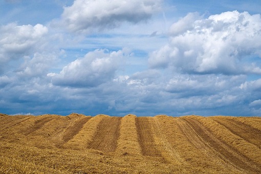 ziemia rolna ceny gruntow rolnych w niemczech rosna 