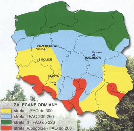 2. Dostosowanie wczesności odmian kukurydzy do regionu kraju źródło IHAR PIB cenyrolnicze pl