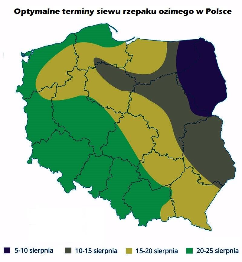 3. Optymalne terminy siewu rzepaku ozimego w Polsce