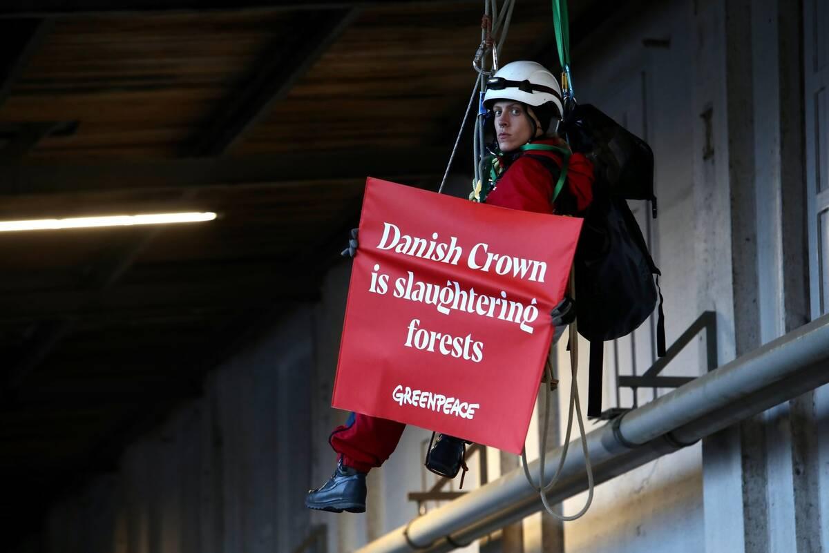 Greenpeace Polska, Danish Crown, Sokołów