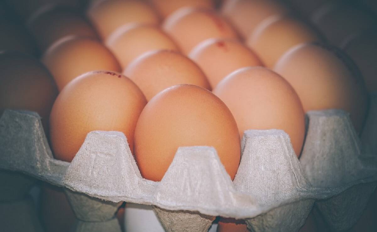 ceny jaj, jajka, produkcja jaj