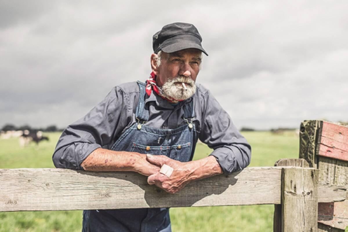 emerytury rolnicze, emerytura podstawowa, rolnik 