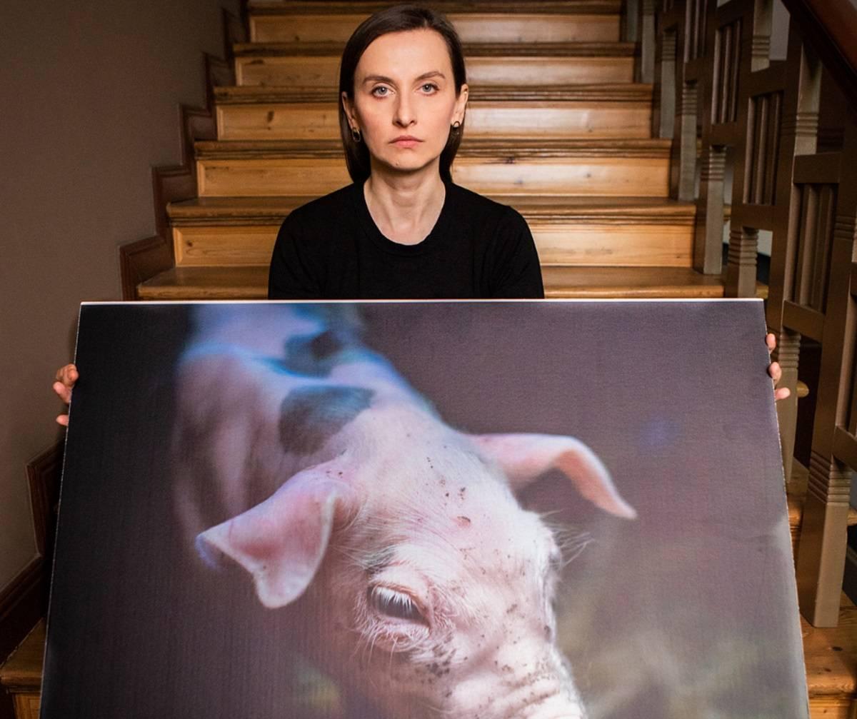 zakaz hodowli zwierząt, Sylwia Spurek, piątka dla zwierząt