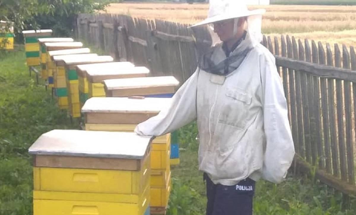 środki ochrony roślin, wytrucie pszczół, oprysk zabił pszczoły
