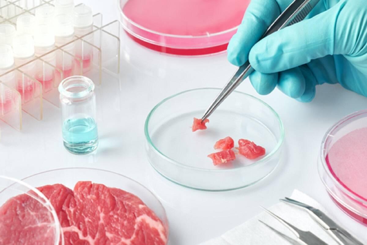 sztuczne mięso, mięso z laboratorium, mięso z próbówki 