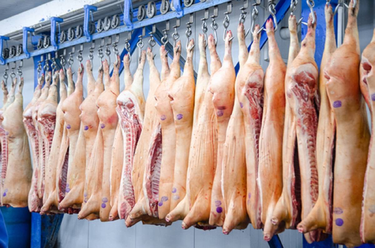 ceny wieprzowiny, Chiny, świnie
