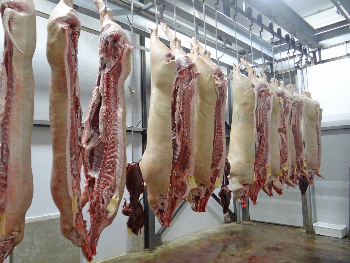 eksport wieprzowiny do Chin, chiński import wieprzowiny 