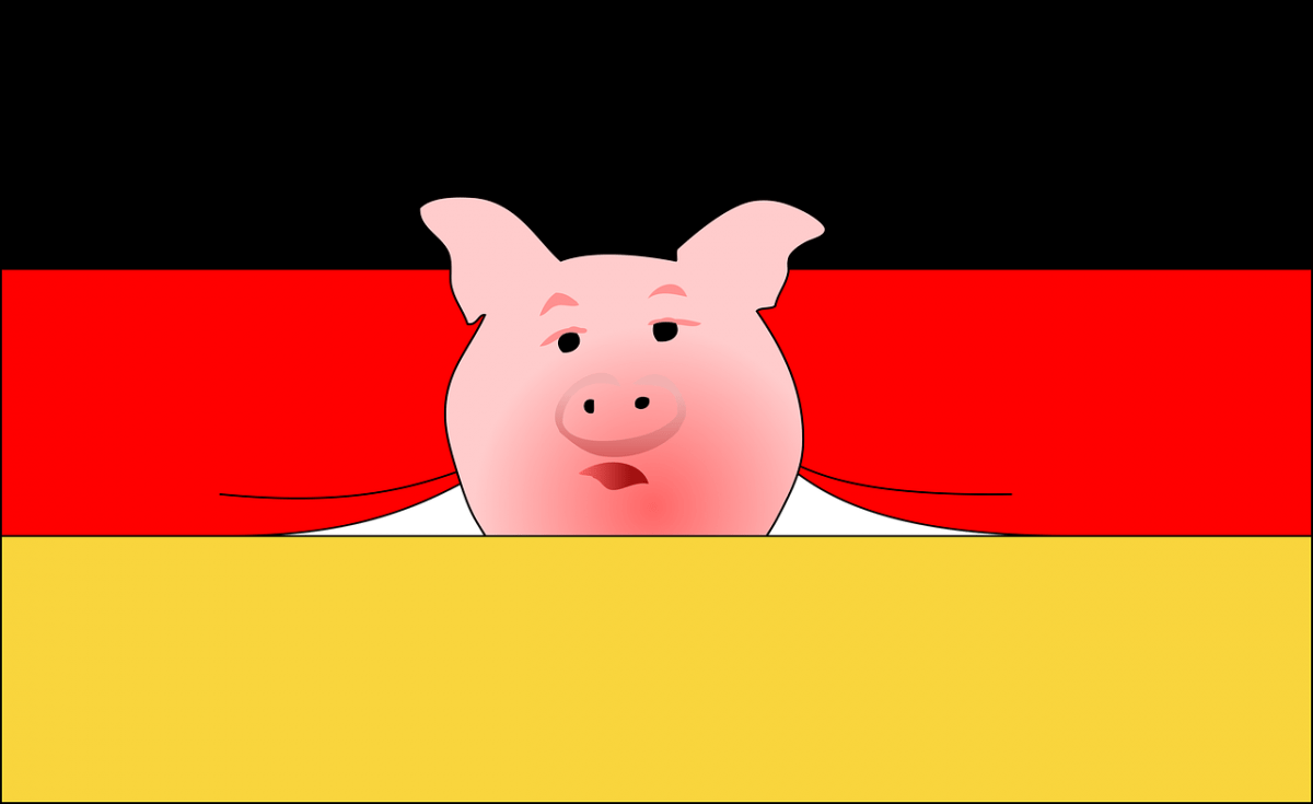 niemcy, flaga, świnia
