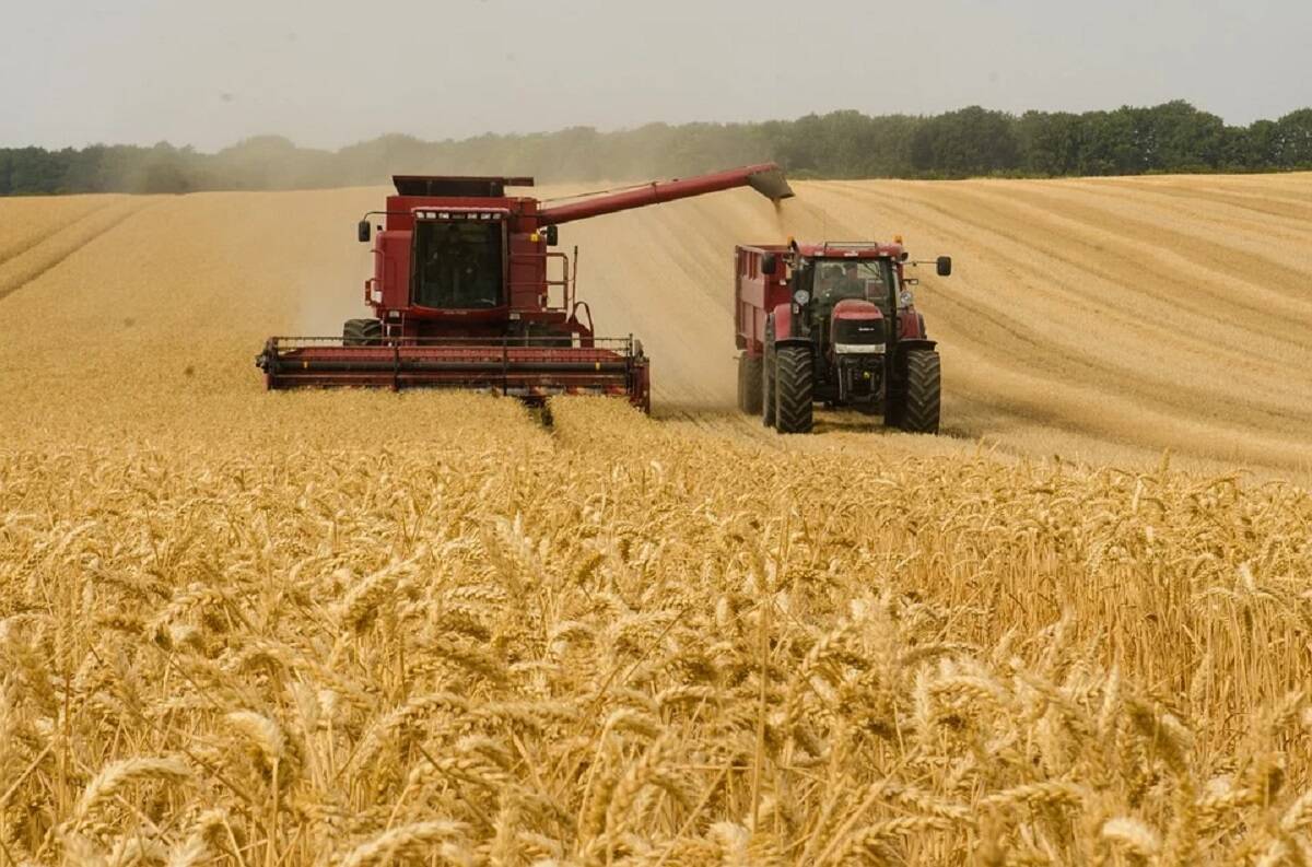 wsparcie krajowe dla producentów zbóż i rzepaku 