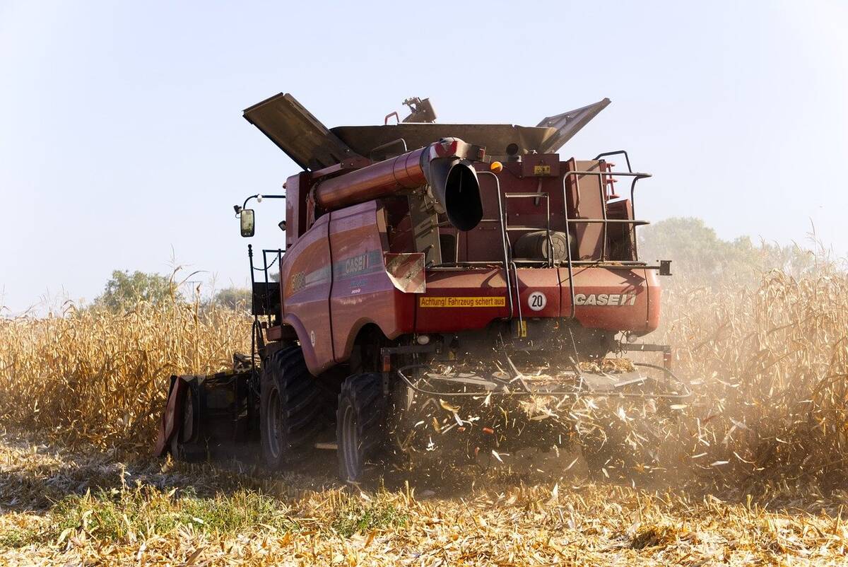 ceny kukurydzy, zbiory kukurydzy, eksport kukurydzy, ceny zboża