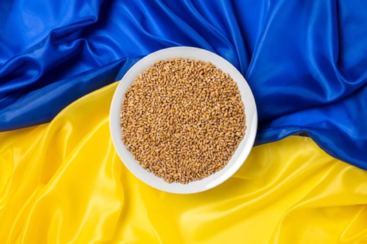 import zbóż z Ukrainy, import