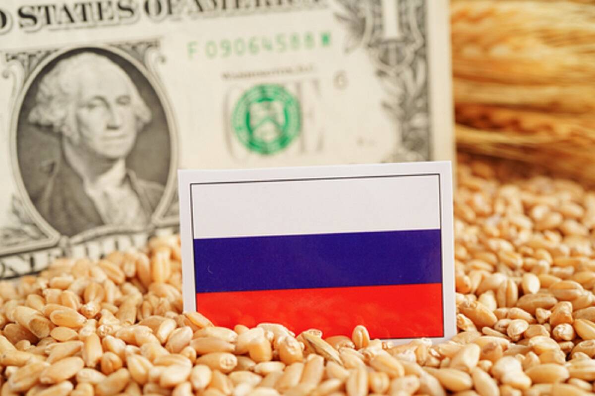 Rosja, zboże, pszenica, eksport