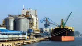 import zboża z Ukrainy, port Gdynia, Ziejewski 