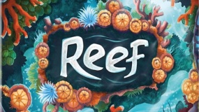 reef, rafa koralowa, gra planszowa 