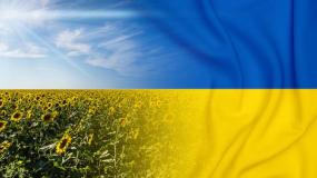 Ukraińcy proponują polskim rolnikom odpuszczenie sobie produkcji zbóż. „Lepiej idźcie w kwiaty lub marihuanę”