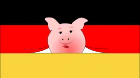 vezg, duża giełda niemiecka, ceny tuczników, ceny świń 