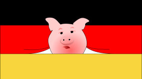 vezg, duża giełda niemiecka, ceny tuczników, ceny świń 