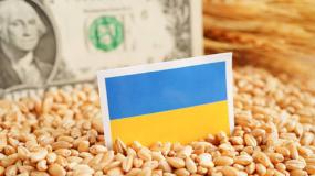 Kijów uważa, że Polska „dorabia się” na eksporcie ukraińskiego zboża. Solski wylicza miliardowe zyski 