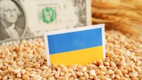 skup interwencyjny, zboże, Ukraina 